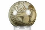 Polished Striped Flint Sphere - Poland #369035-1